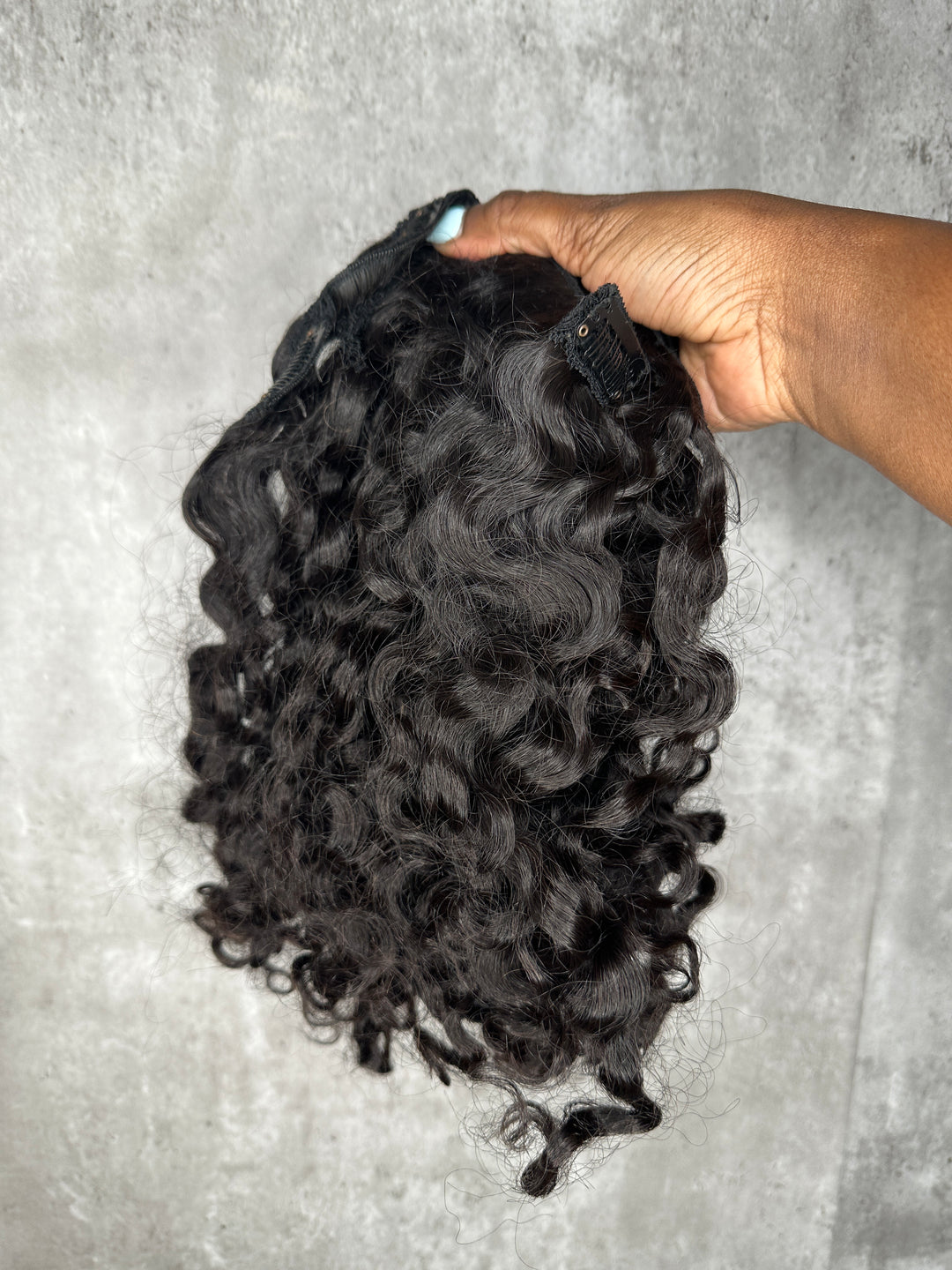 Burmese Curly Clipins (ready to ship)