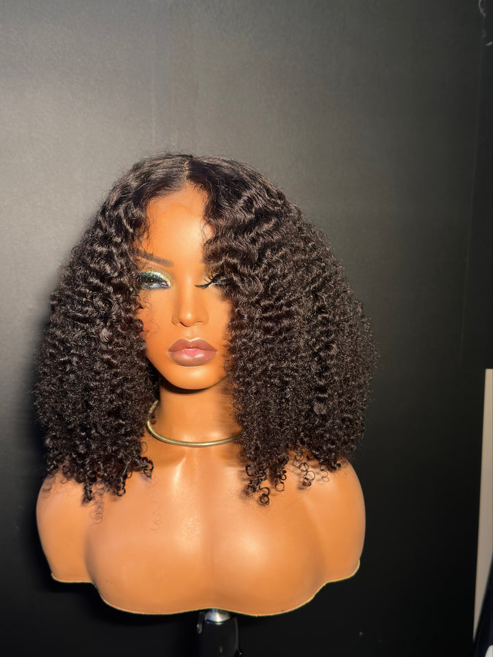 Kinky Curly Custom Wig
