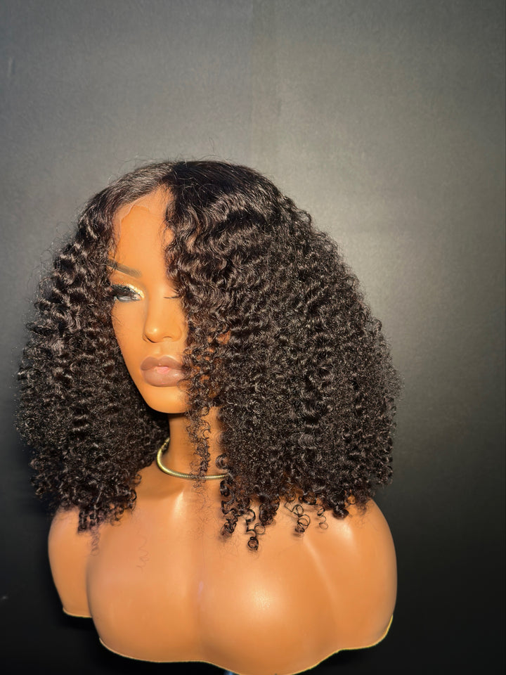 Kinky Curly Custom Wig